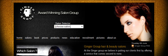 ginger group hair salons